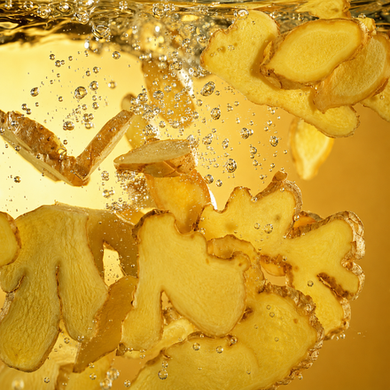 Ginger Extract